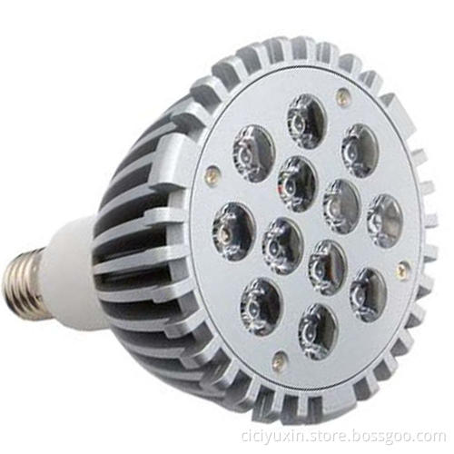 12W LED PAR38 Spotlight